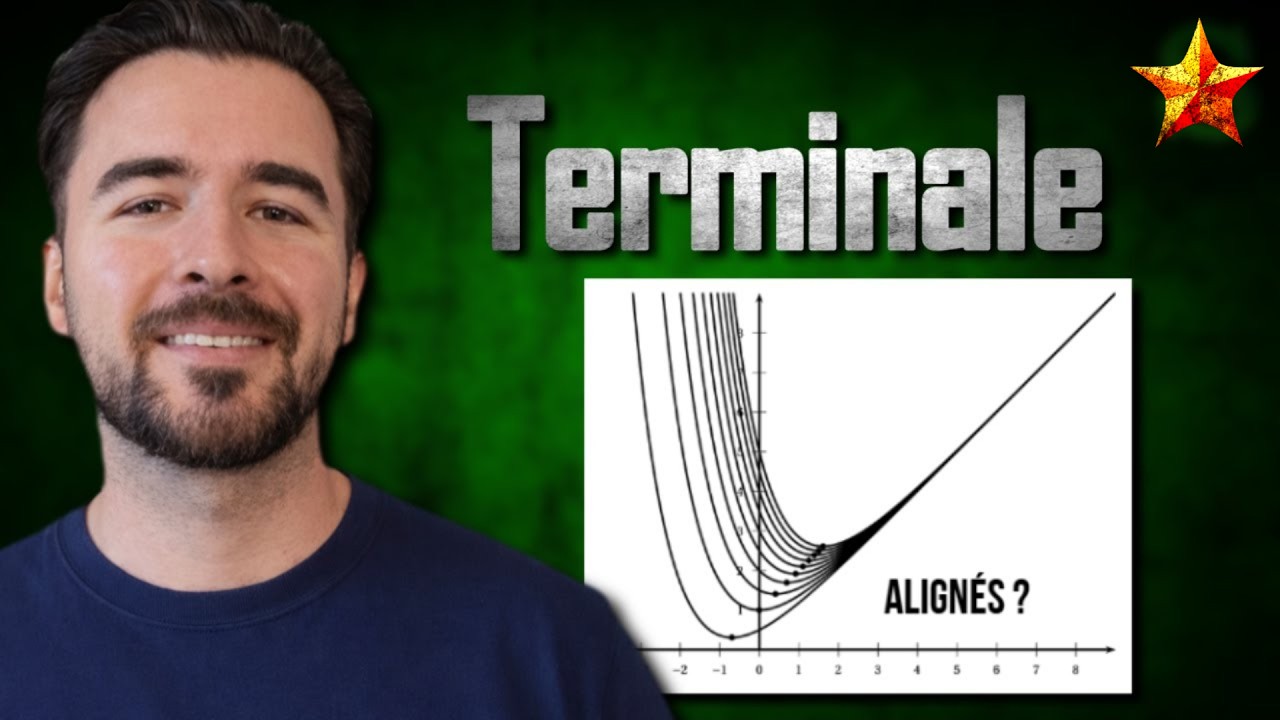 Analyse, dérivation, logarithme, exponentielle, fonction, courbe