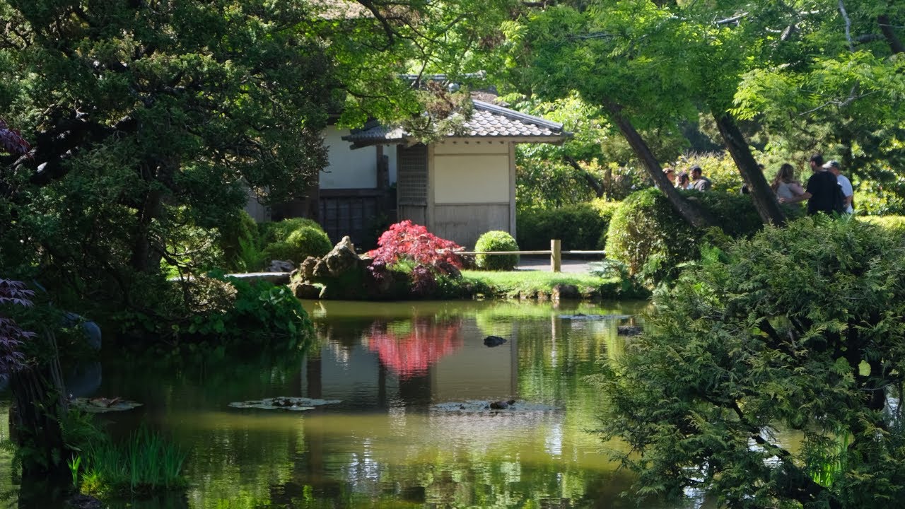 Video Journal #5 | I Found Japan in San Francisco