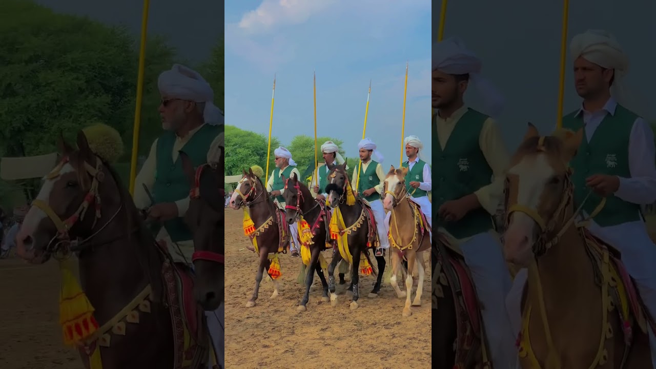 Gujjar&rsquo;s ❤️&zwj;🔥#horselover #newpost