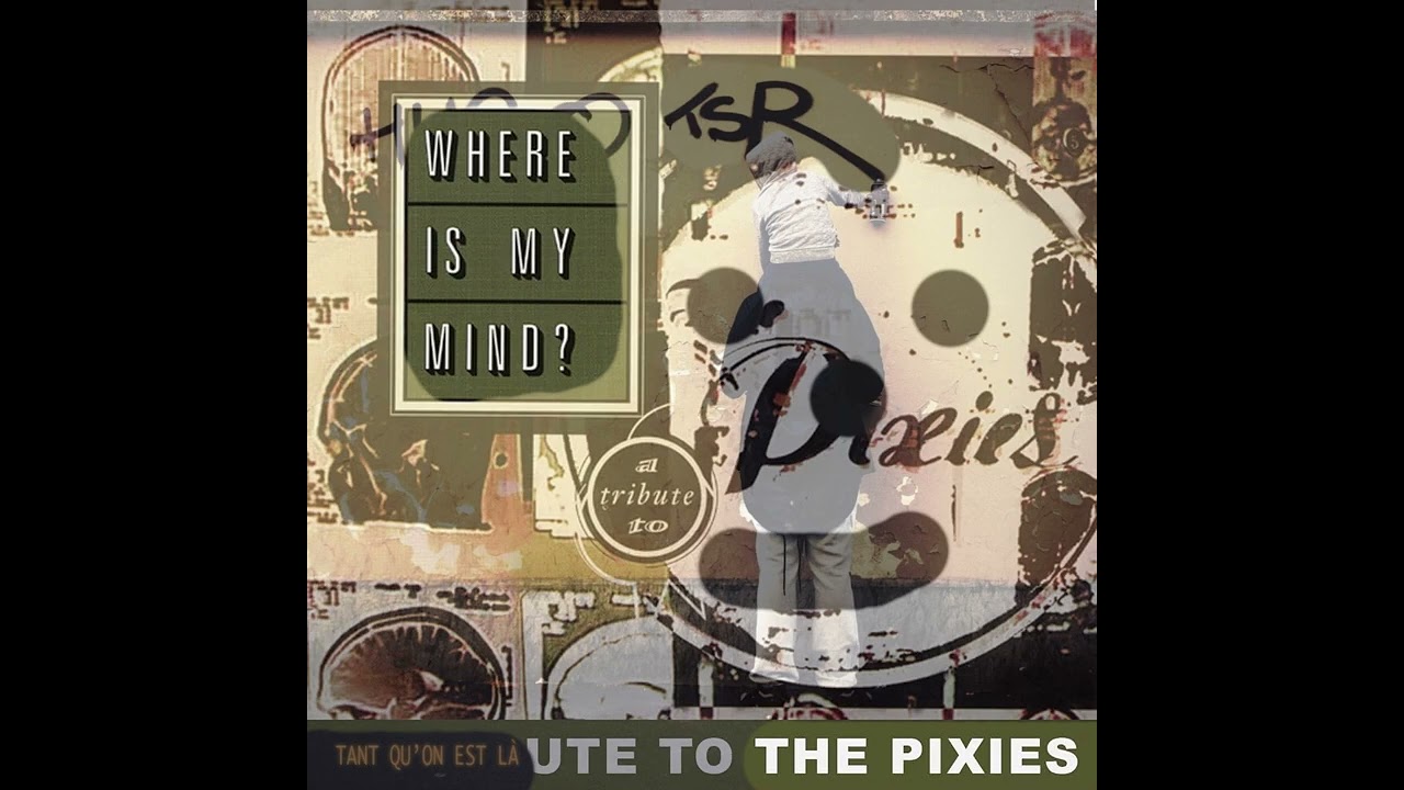 where is my HUGO TSR ? (Pixies)
