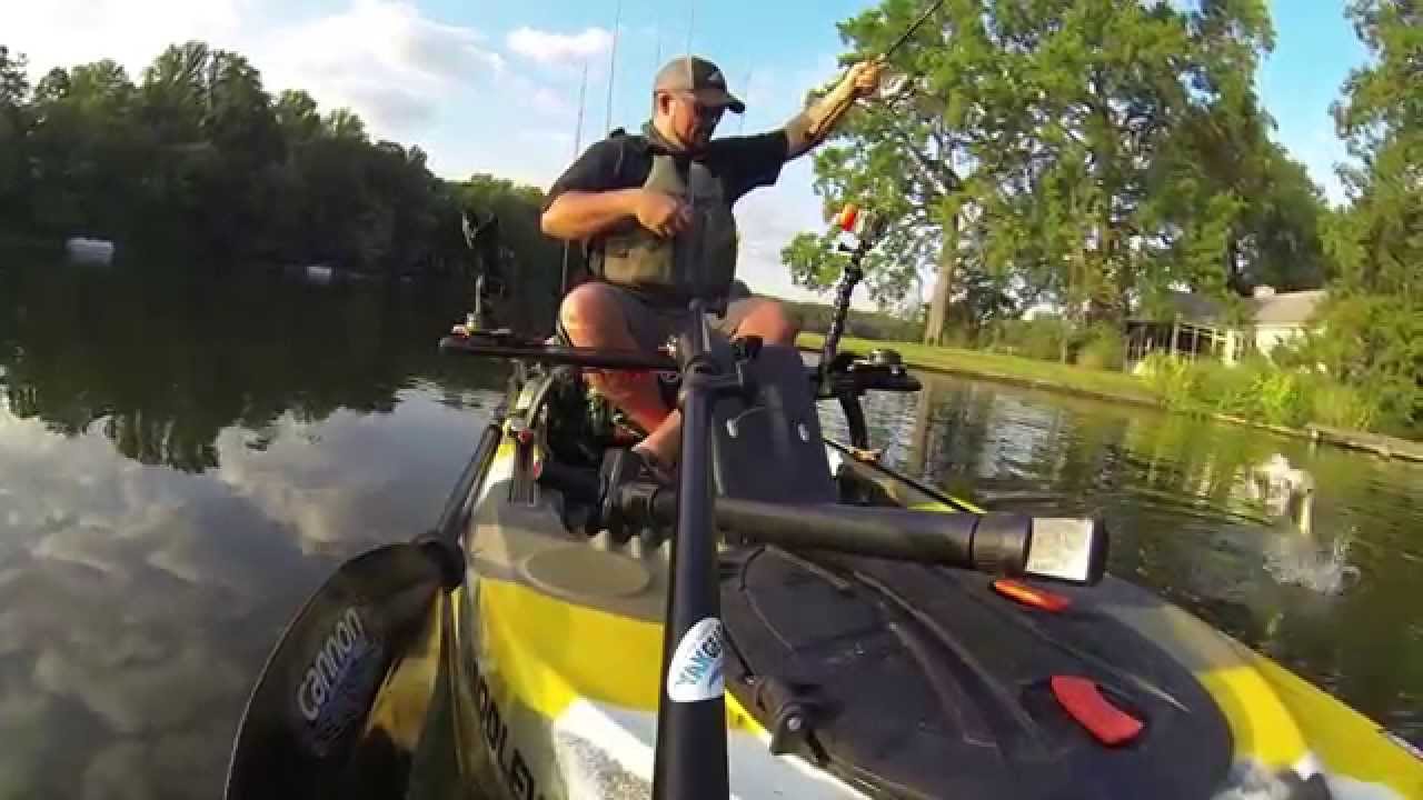 Why I Feel Free-Lure11.5