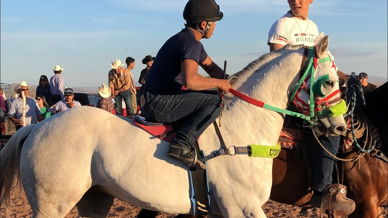 Carreras De Caballos | Taste Estación Corral | 01 de enero 2024