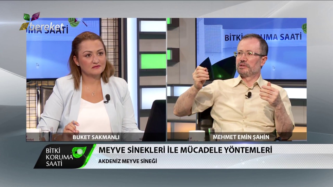 Bitki Koruma Saati - Meyve Sineği ile Mücadele Yöntemleri