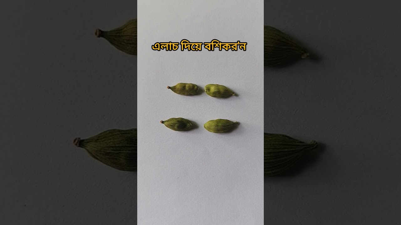 এলাচ দিয়ে বশিকরন 