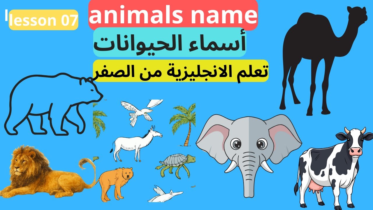 animal's name اسماء الحيوانات