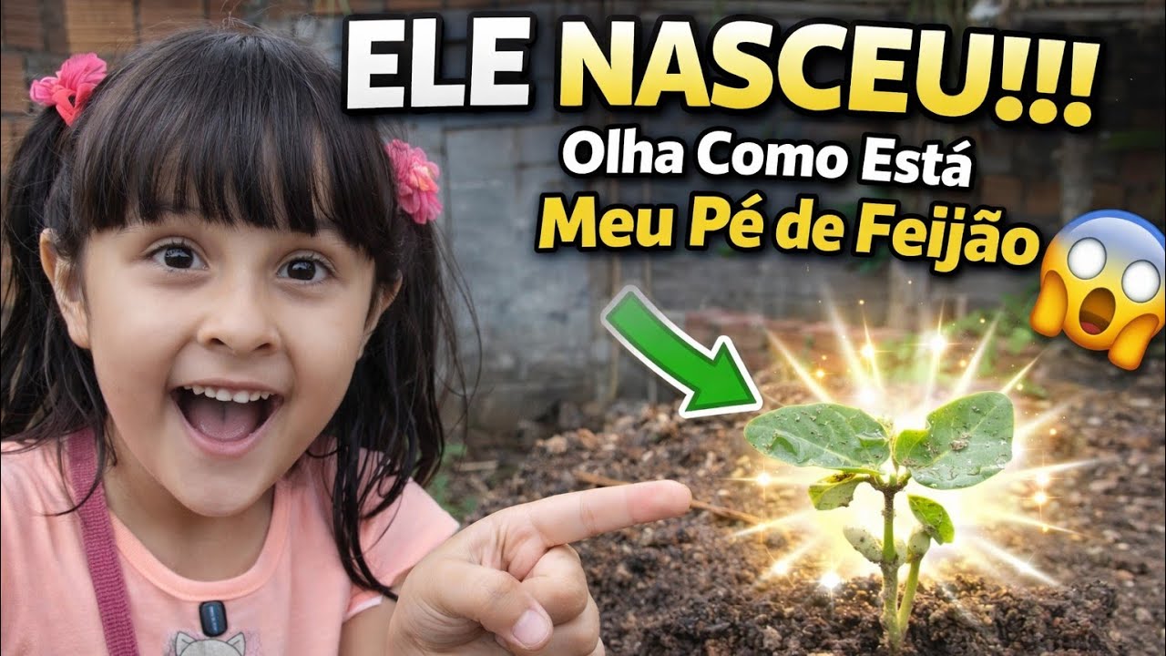 🌱 ELE NASCEU!!! Olha Como Está Meu Pé de Feijão 😱💚