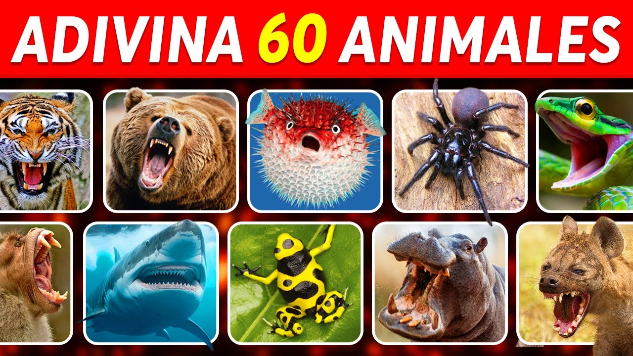Adivina 60 Animales Peligrosos en 3 segundos 🐯🐍🦈 | FÁCIL a IMPOSIBLE