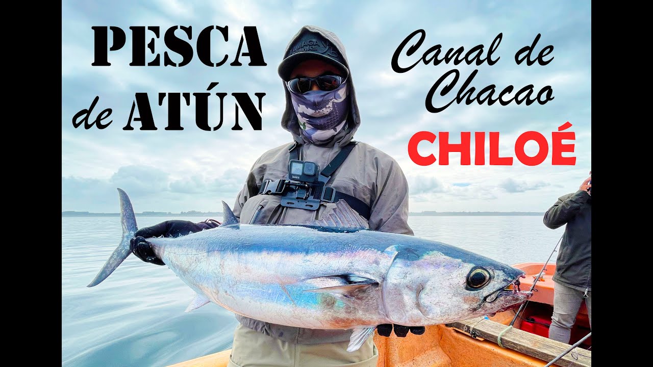 Pesca de Atunes (Parte 1) - Canal de Chacao, Isla de Chiloé.