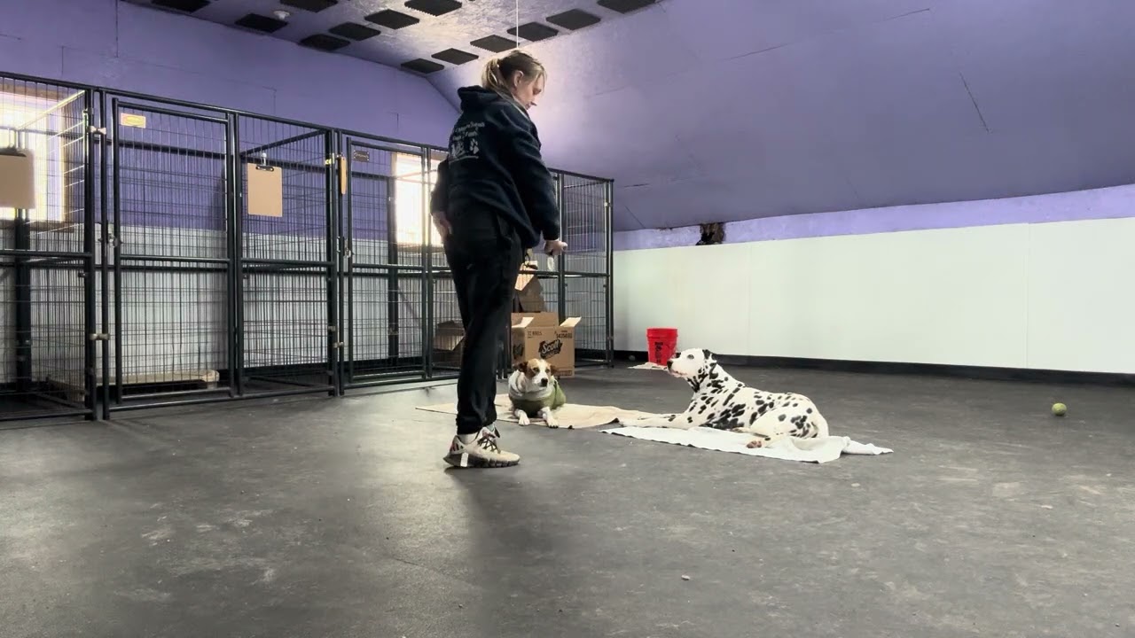 Jazz and Franco- distracted elevated stays