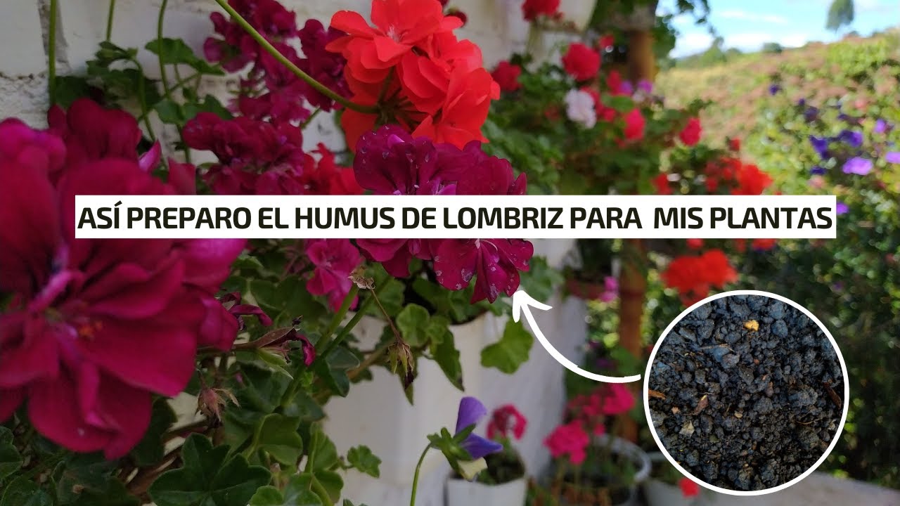 Así preparo el humus de lombriz para mis plantas ornamentales y para la huerta | Jardín Diaz