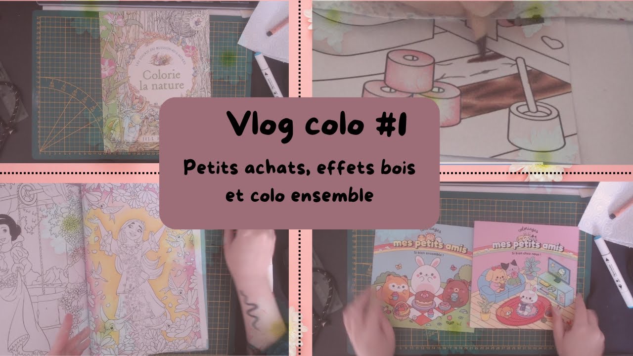 Vlog colo #1 : Petits achats, effet bois et colo ensemble