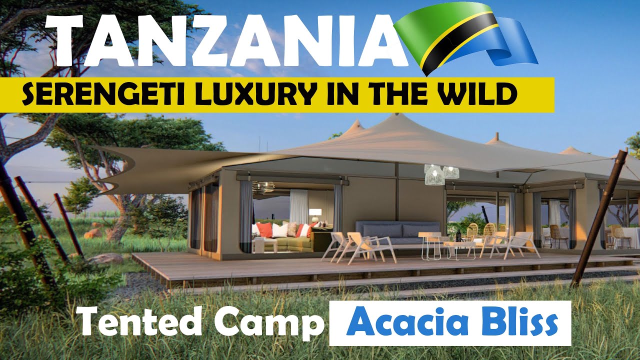EXPERIENCE SERENGETI LUXURY IN THE WILD AT ACACIA BLISS