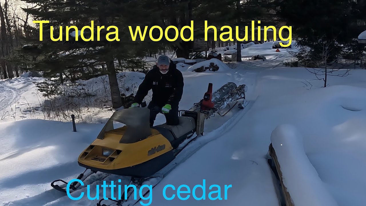 Cutting cedar with a tundra ski doo