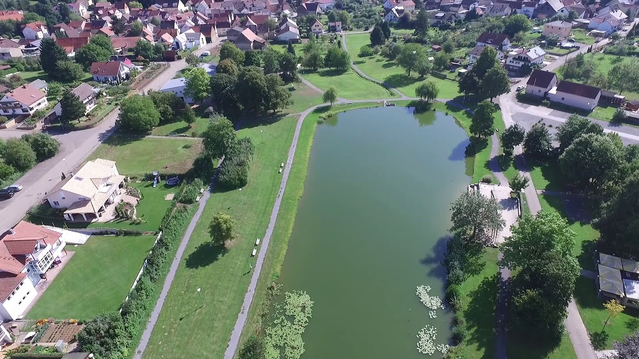 Elsenz See 2017