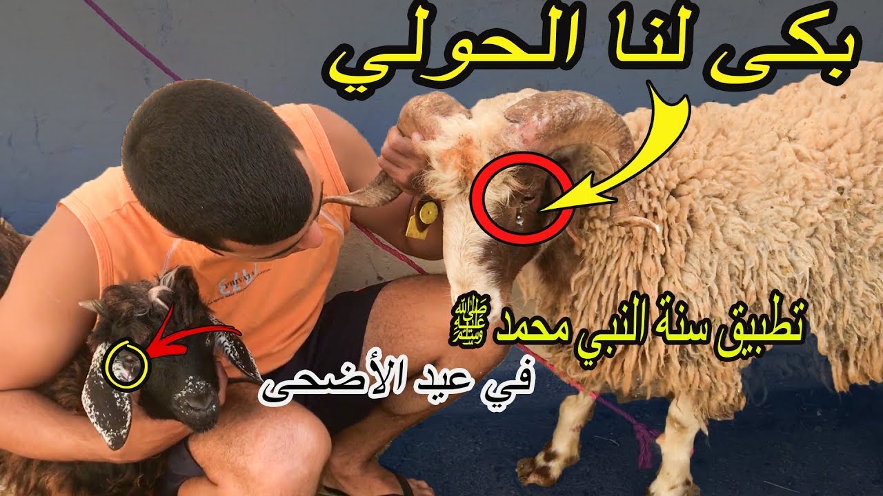 اول عربي يطبق سنة النبي محمد ﷺ في عيد الأضحى ❤💐