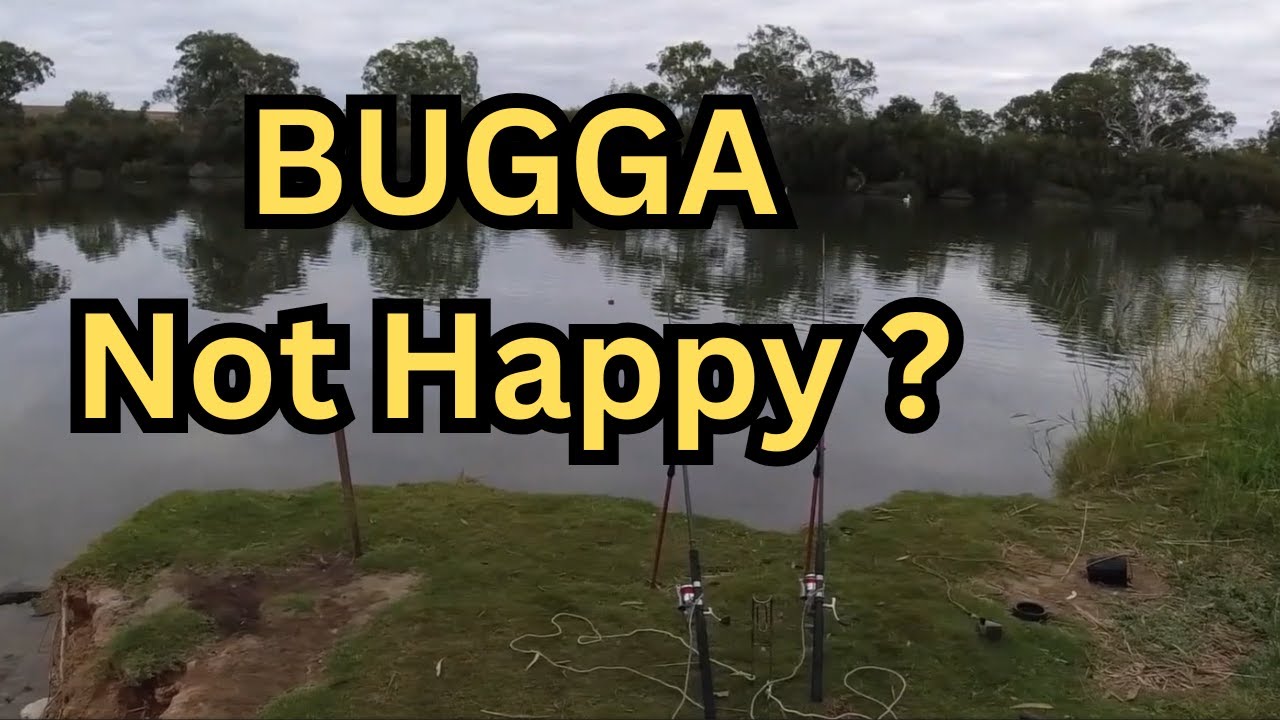 This Peaceful Murray River Camp Is 100% FREE And a special visitor cruises by.