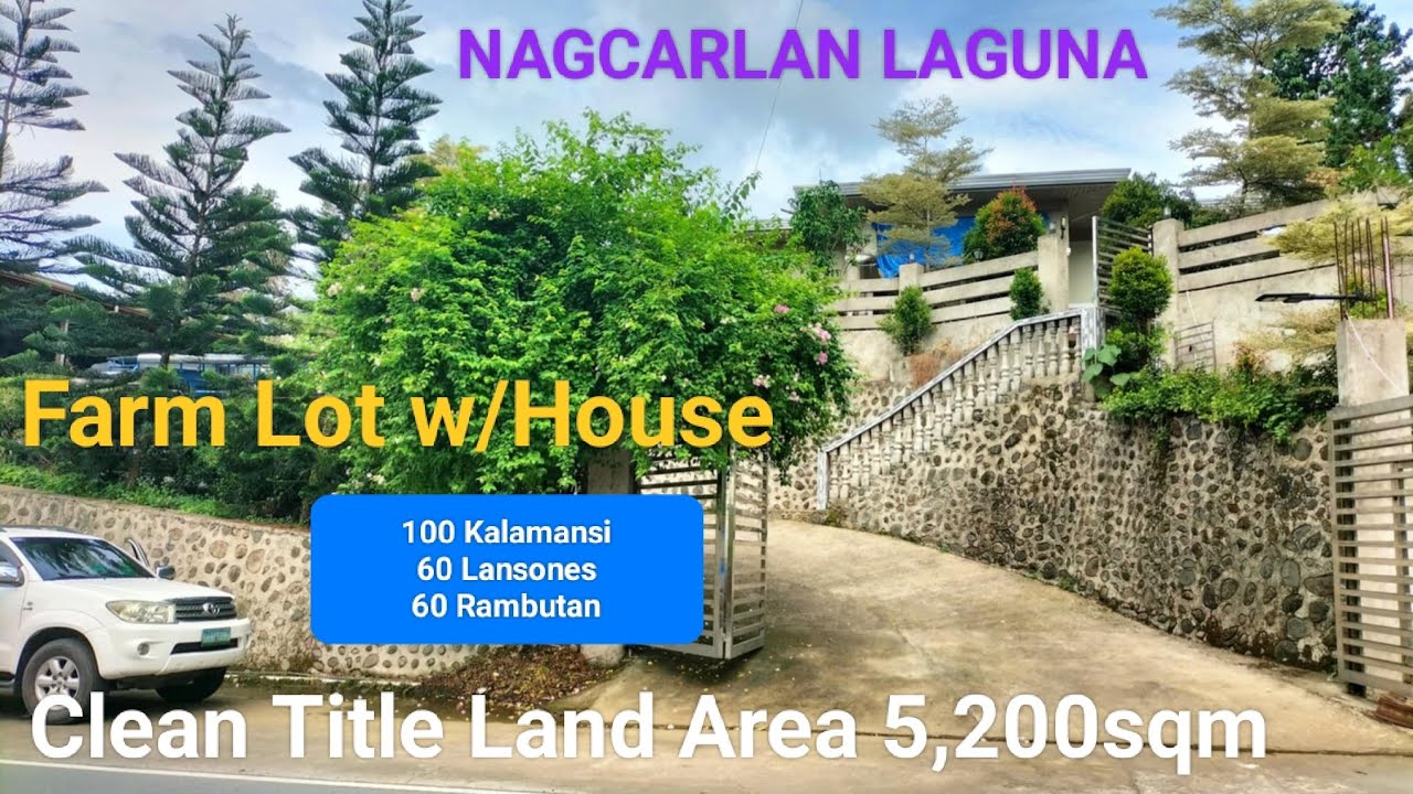 #V213 FARM LOT FOR SALE CLEAN TITLE w/HOUSE & FRUIT BEARING LANSONES/KALAMANSI/RAMBUTAN & NIYOG