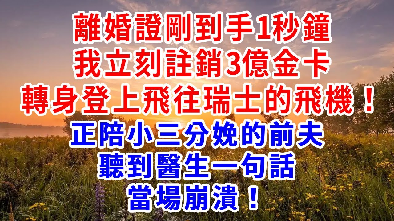 離婚證剛到手1秒鐘，我立刻註銷3億金卡，轉身登上飛往瑞士的飛機！正陪小三分娩的前夫，聽到醫生一句話，當場崩潰！