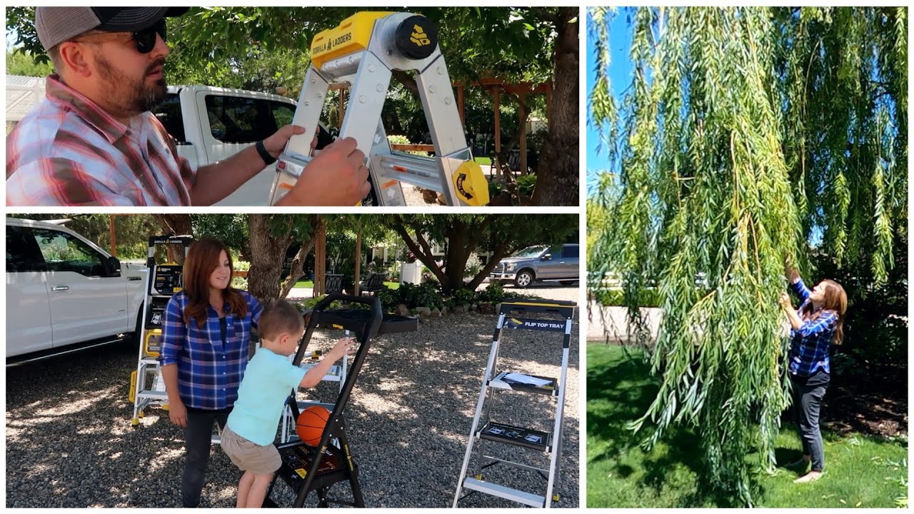 Gorilla Ladder Giveaway & Pruning Our Weeping Willow! 🌿✂️🙌// Garden Answer