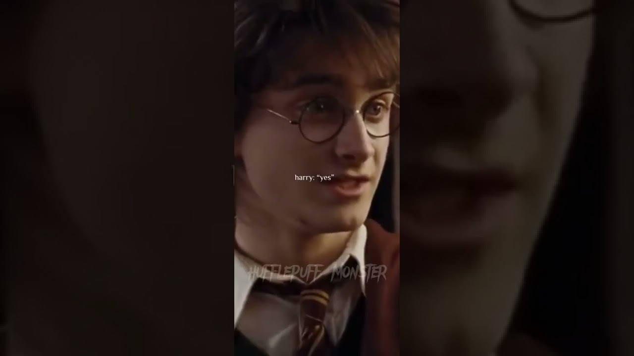 POV: harry x y/n pt 2 | harry told y/n he didnt love them | lmk if you want a series