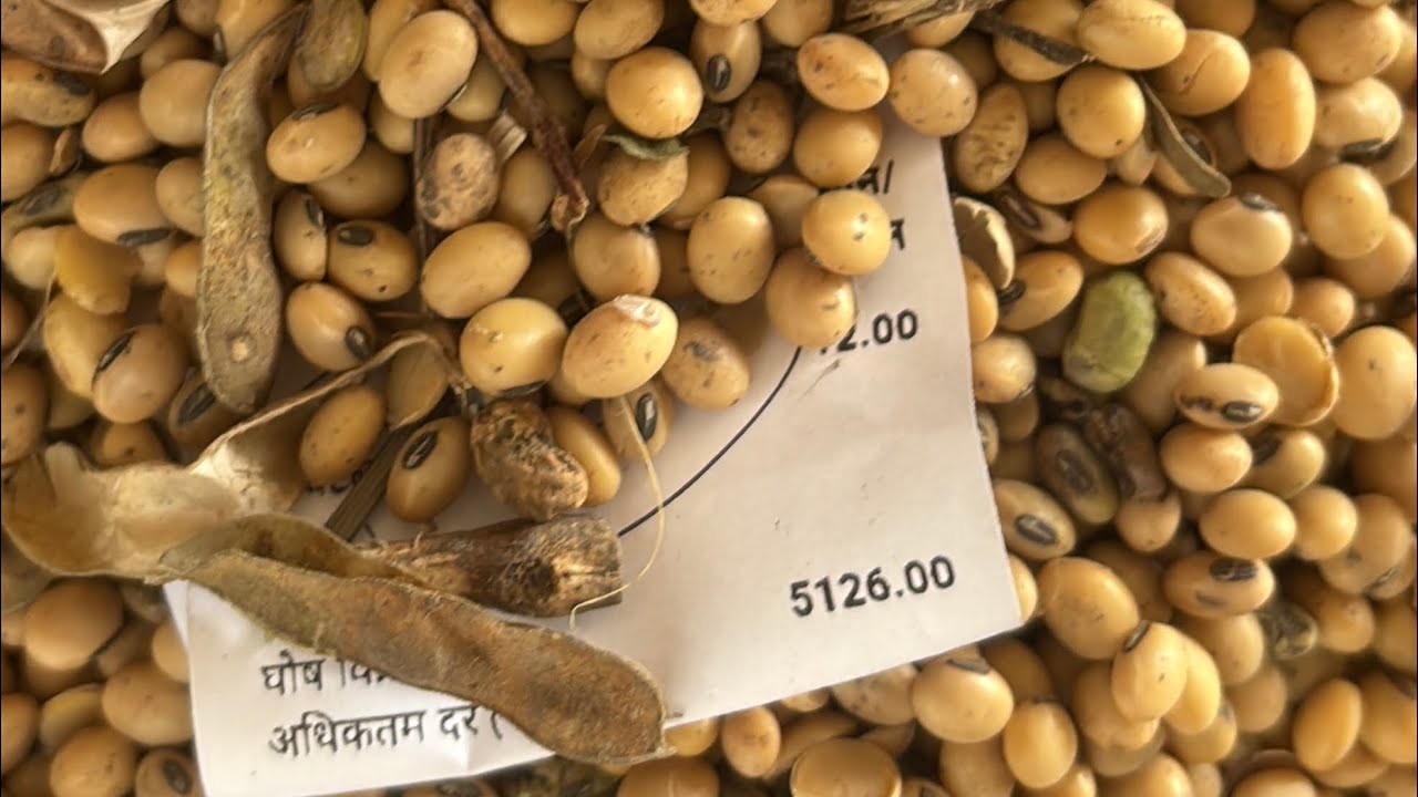 सोयाबीन 🎯😱!! देवास मंडी 10 फ़रवरी 2026 सोयाबीन भाव !! ये कैसी ट्रेड डिल 🧐🧐!!