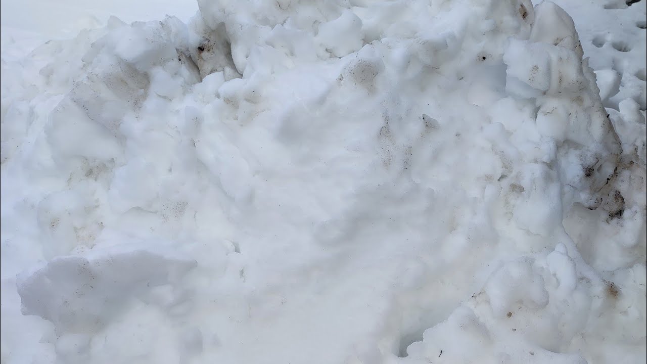 Снежная зима и комнатные растения - всё ли будет хорошо?