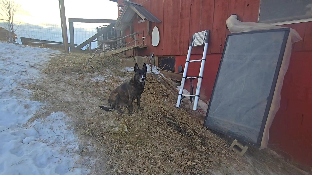 Passive SOLAR HEATER For The Barn! _ DIY Scrap Build! // Whitt Acres