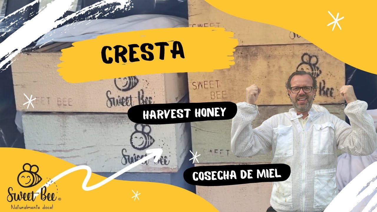 Cresta | Harvest | Cosecha