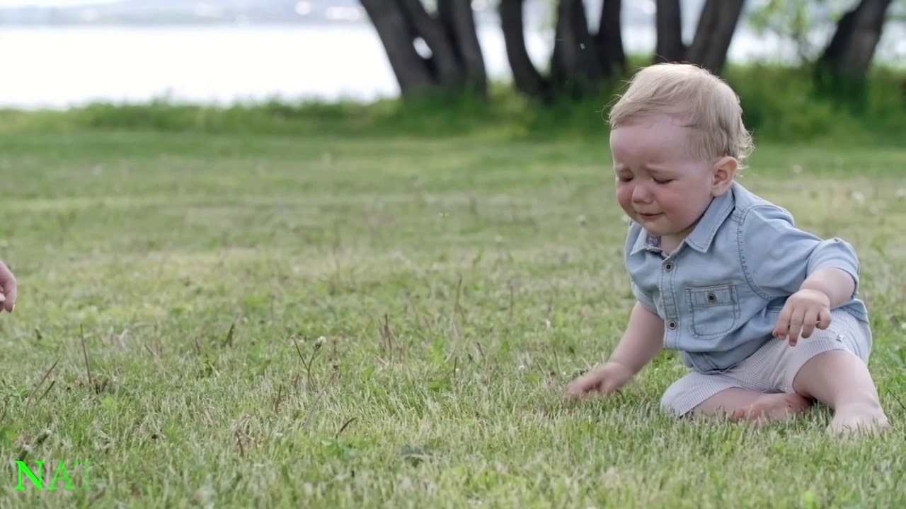 Educational Psychology: Cognitive Development (Part-1)