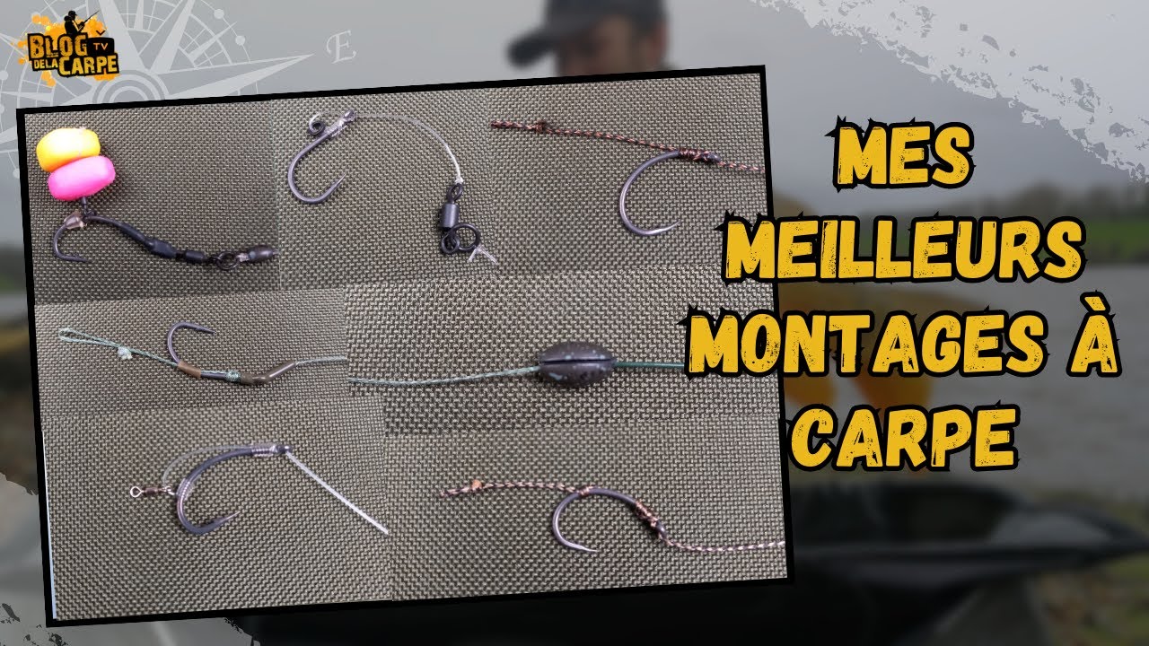 Mes meilleurs montages à carpe pour 2023