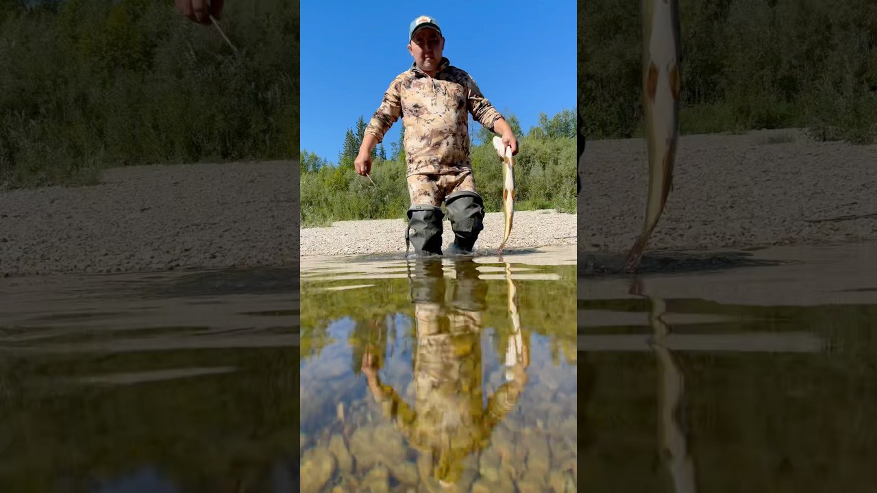 Freshly caught fried pike🎣🐟 / Свежевыловленная жареная щука🎣 #pandasakha #fishing #nature #food