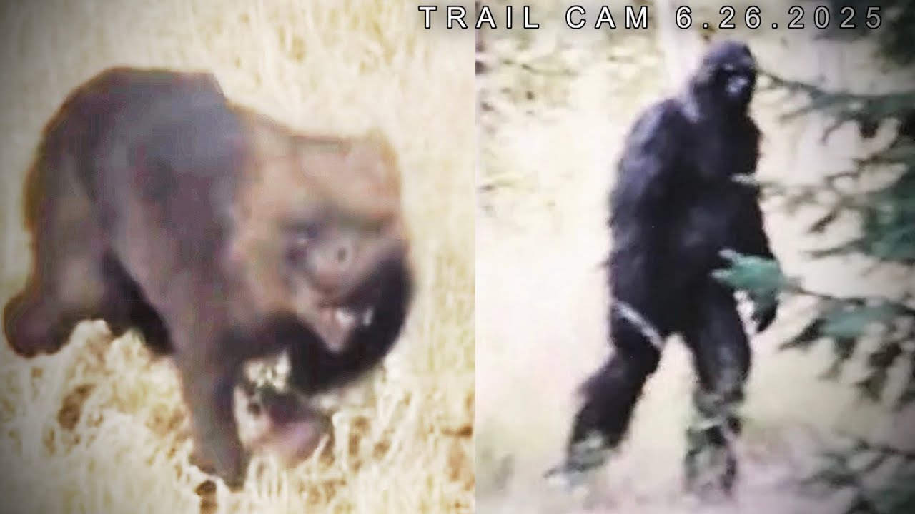 Самые жуткие существа-криптиды, заснятые камерой Trail Cam в 2025 году