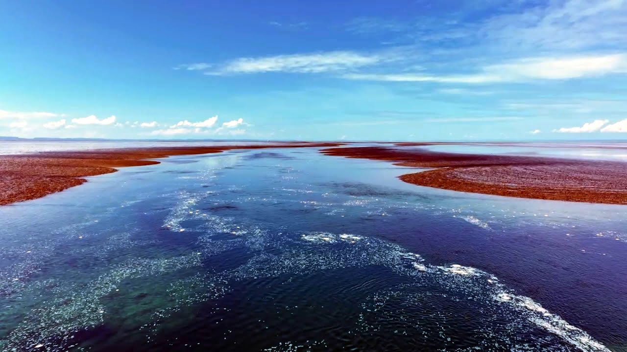 Destination WA - Montgomery Reef&rsquo;s &lsquo;Rising&rsquo; Wonder