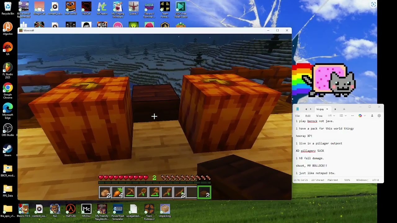 just normal mc