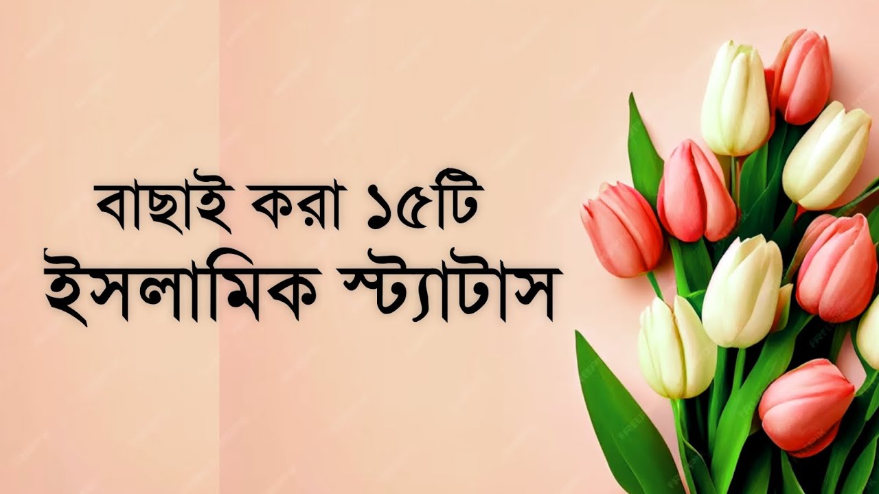 ইসলামিক স্ট্যটাস🌙|| New Islamic Status Bangla