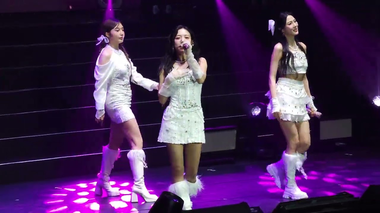 2025 Apink 7th CONCERT [PINK NEW YEAR] In TAIPEI - Mr. chu