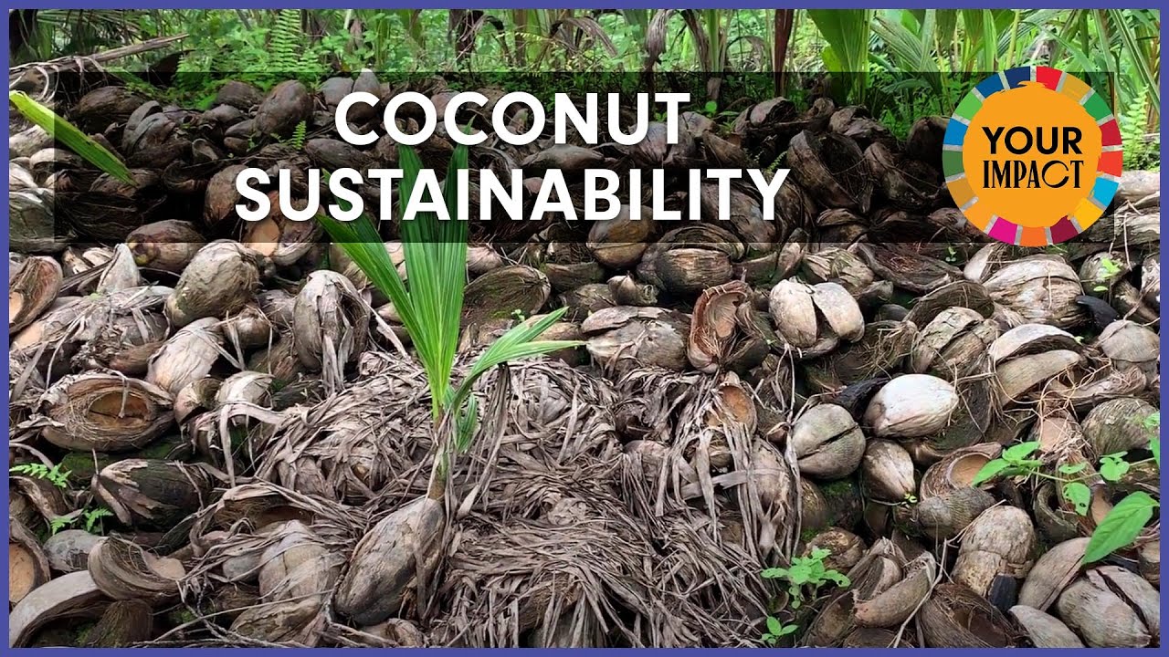 Coconut Sustainability