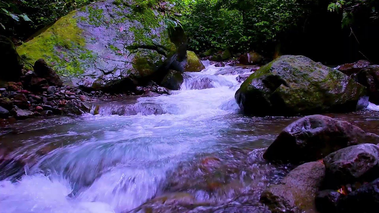 Peaceful Mountain Water in Forest | 10 Hours Relaxing Sleep Sounds