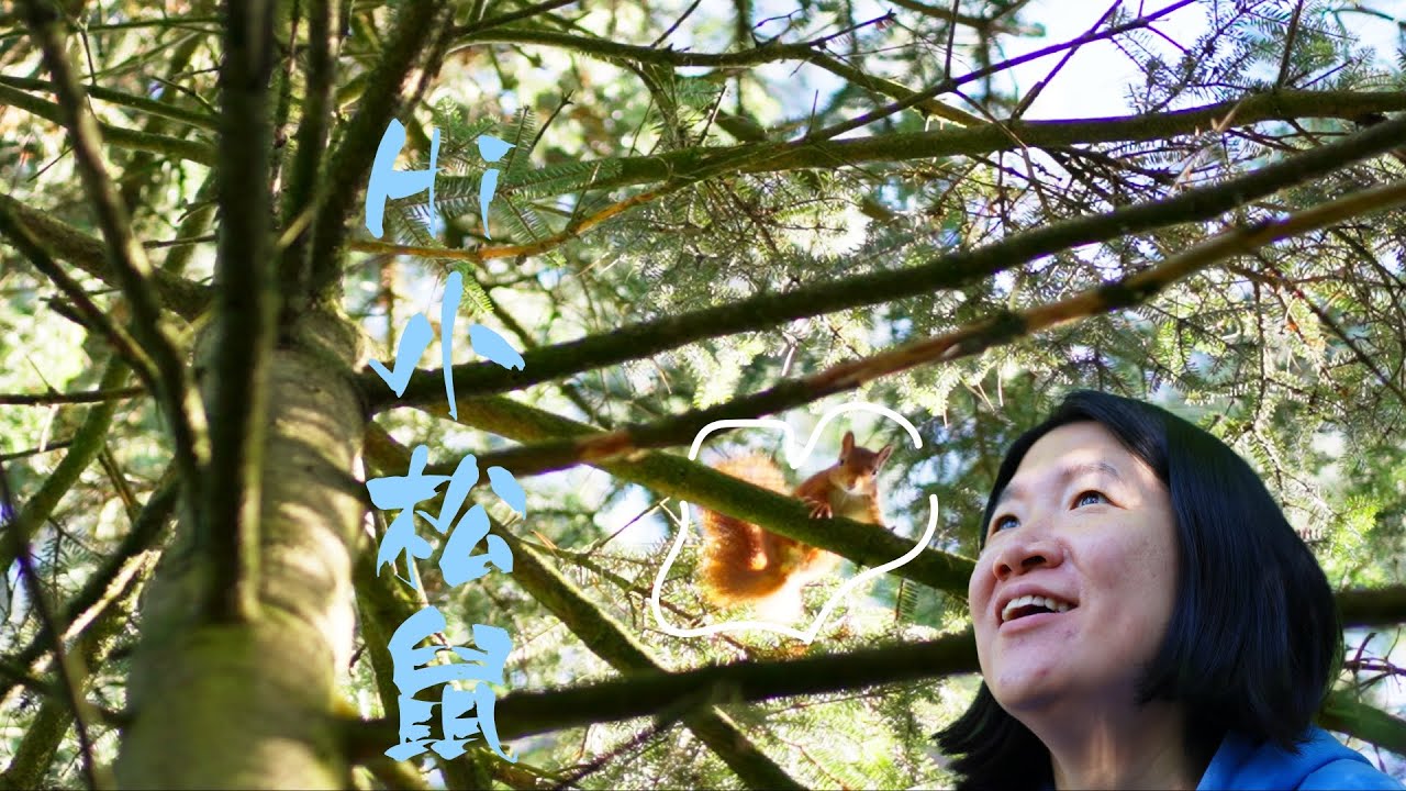 向森林学能量管理：让你不再内耗的三个法则 | 沉浸式徒步Talk