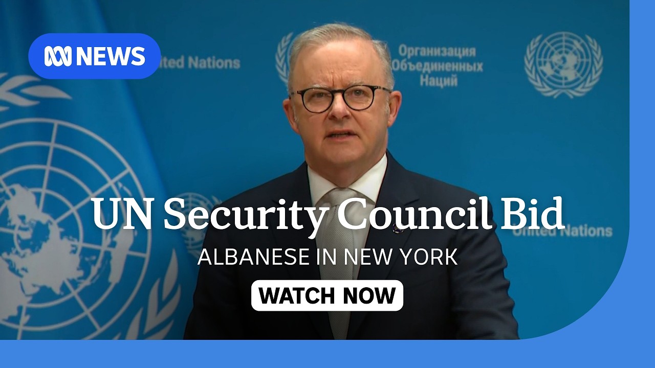 IN FULL: Albanese says UN Security Council campaign is in Australia's 'national interest' | ABC NEWS