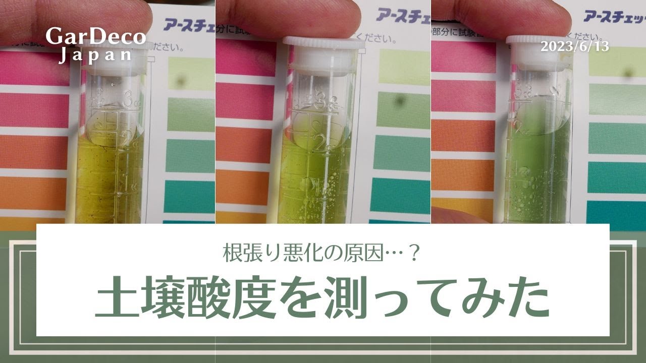 根張り悪化の原因？土壌酸度（pH）を測ってみた