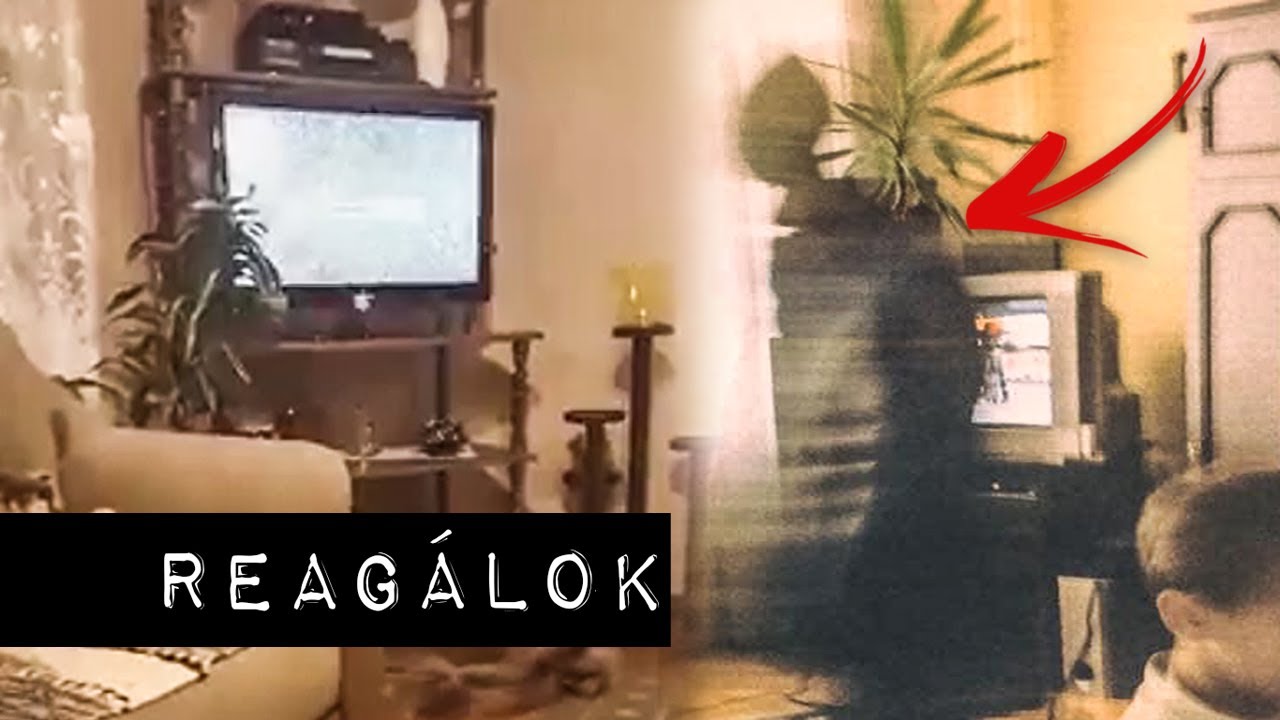 Reag&aacute;lok a n&eacute;zőim PARA vide&oacute;ira/k&eacute;peire