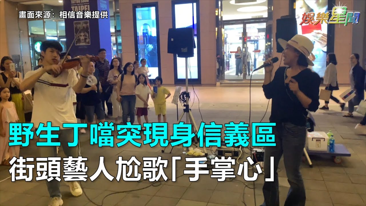 野生丁噹突現身信義區　街頭藝人尬歌「手掌心」｜三立新聞網SETN.com