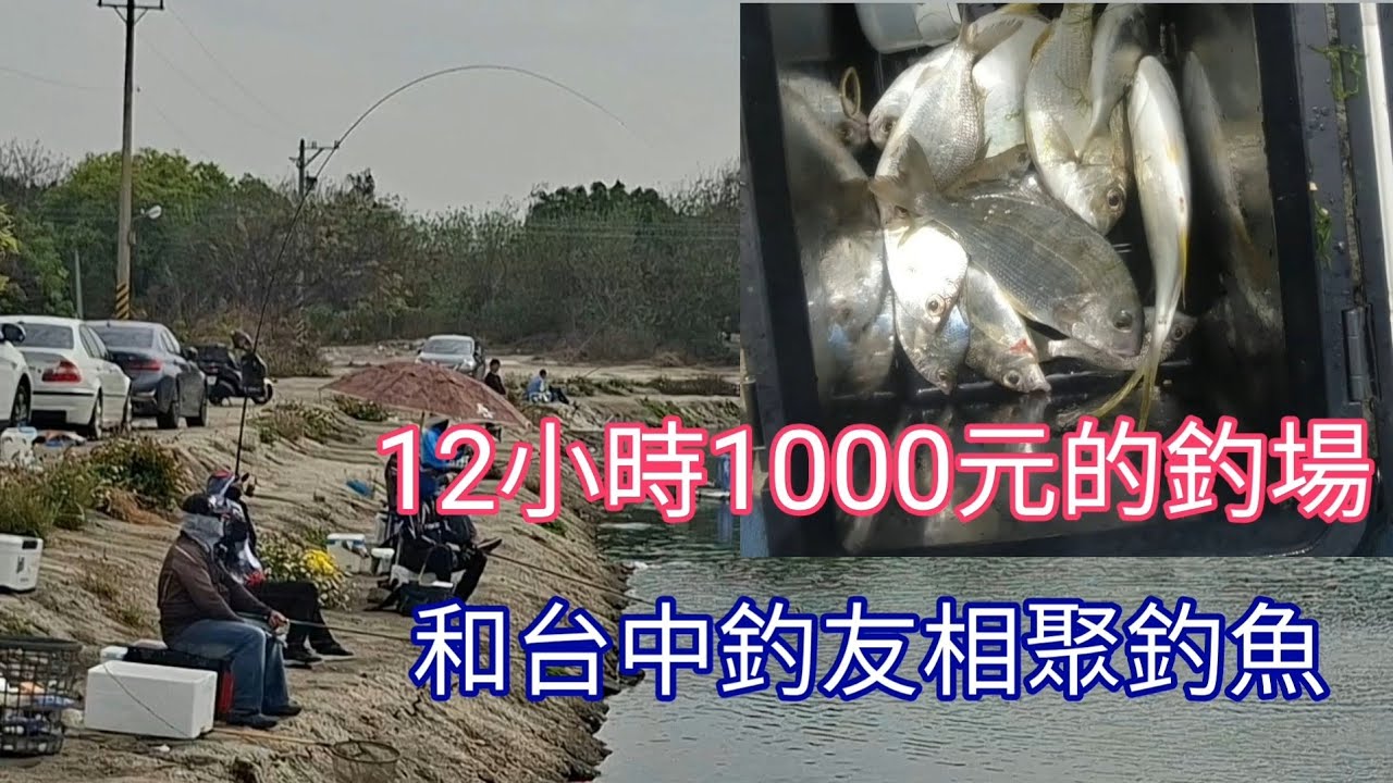 [胖咪 fishing] 和台中的朋友相聚 去12小時1千元的海釣場釣／ #毒斬10尺小磯竿／ #志成磯釣專業誘餌／ #阿維磯釣練餌／ #生牌南極蝦／ #fishing ！！！