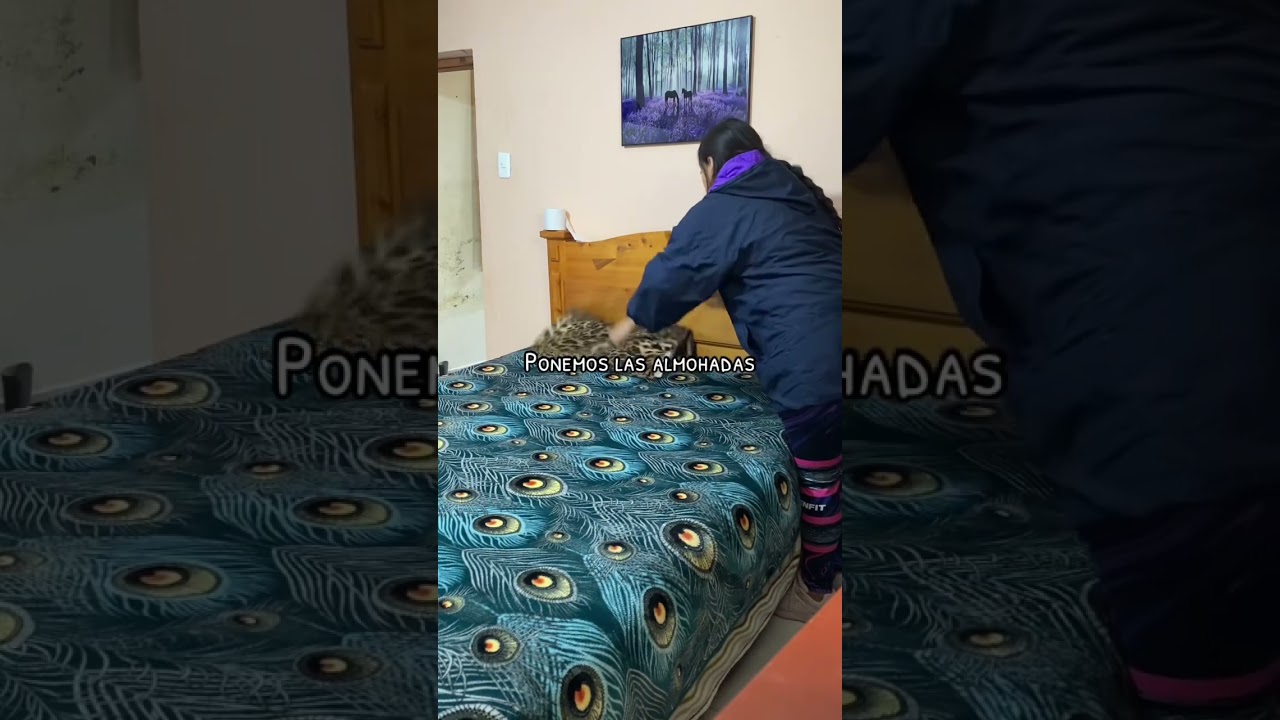 Limpieza 🧹 del cuarto 🏡 #rutina #limpiandolacasa #mam&aacute;joven #vidadecasada