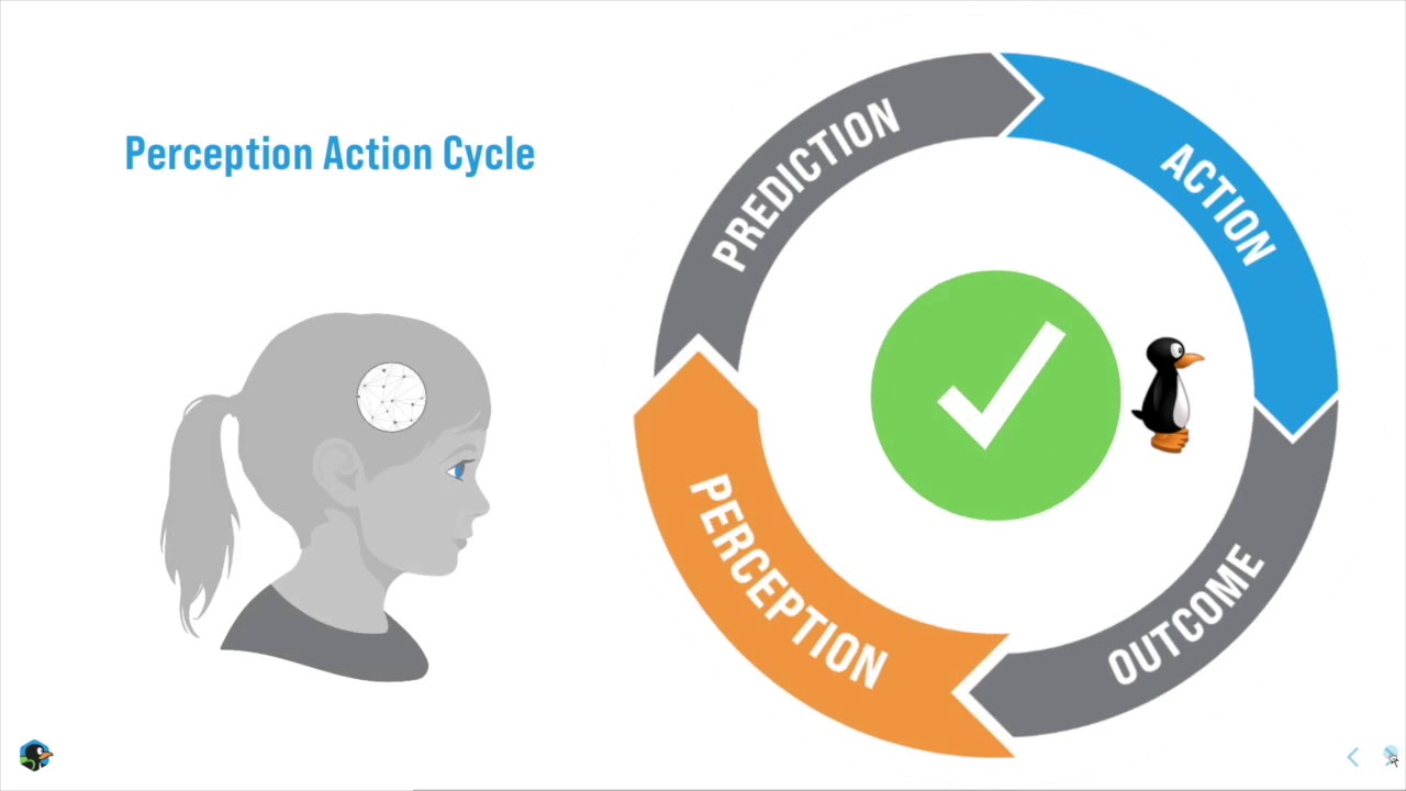 What is the Perception-Action Cycle?