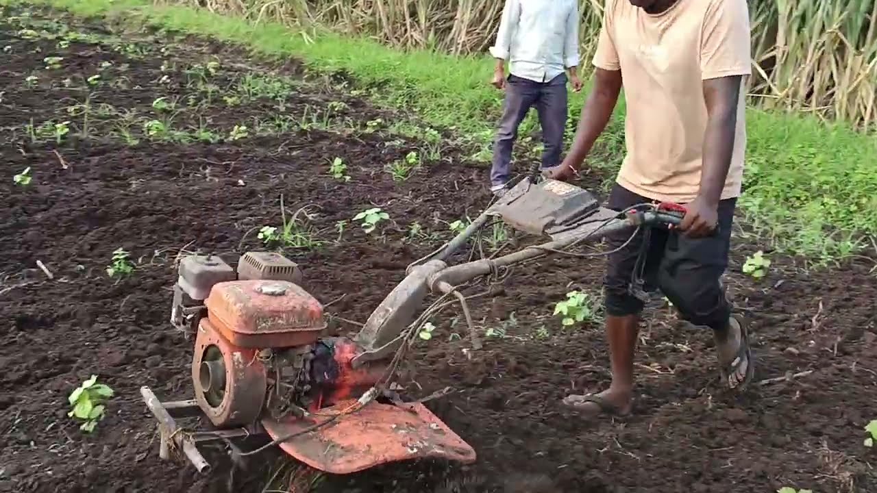 Power Weeder Working Video #viralvideo #tractor #farming 