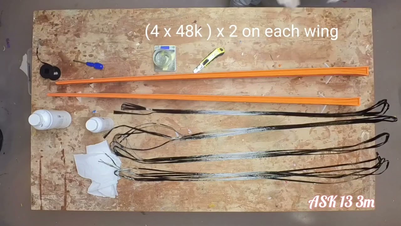 ASK 13 3 d printed , wing construction with carbon Wick