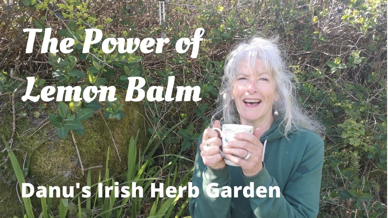 The Power of Lemon Balm