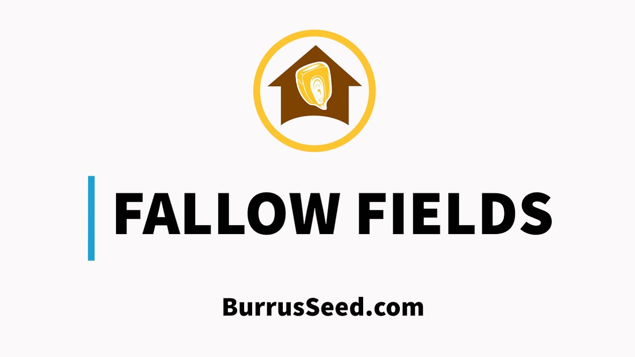 Managing Fallow Fields